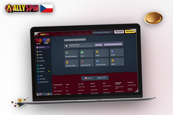 Přehledný help center Allyspin Casino s tematickými kategoriemi a vyhledáváním